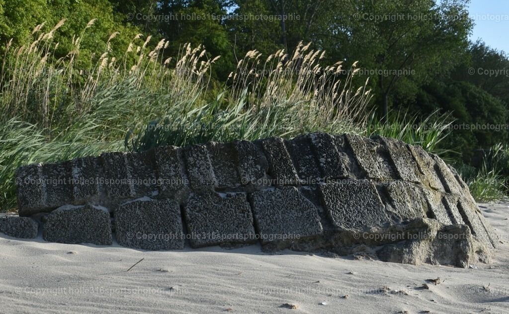 DSC_0077 (2) | Sportfotografie , Motorsport, Motoross, Reitsport, Mointainbike, Enduro,
Landschaft , Outdoor, Eventfotografie, Landschaft, Bilder online bestellen - Realisiert mit Pictrs.com