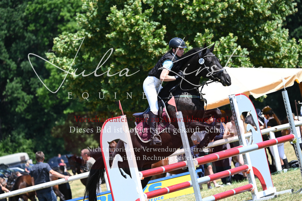 DSC_0707 | Pferde- und Turnierfotografie in Westsachsen. Pferdeportraits, Auftragszeichnungen und intuitive Kunst.