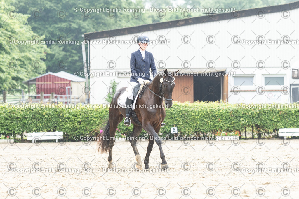 CL5A3176 | Emilia Reinking Fotografie - Realisiert mit Pictrs.com