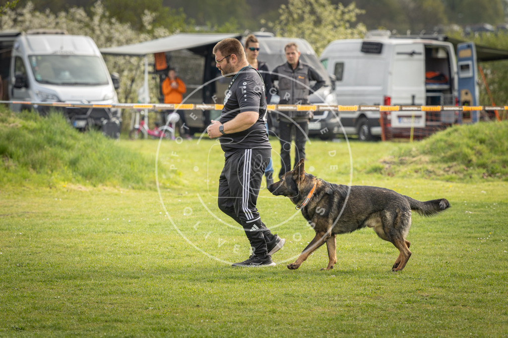 Pfotenfotografie_DV3A5027 | Hundefotografie, Tierfotograf, Pfotenfotografie, Fotoshooting Hund, Hunde Portrait, Hundesport, Hundeportraits, Heideshooting, Hunde, Sportfotograf, Hundefotograf, Turnierhundsport, THS,  - Realisiert mit Pictrs.com