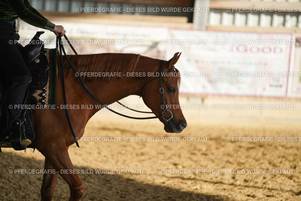 DSC08602 | Pferdegrafie