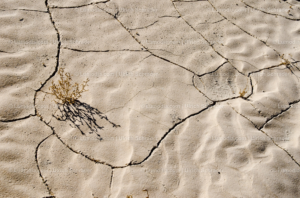 10972-10320 - Negev-Wüste _ Israel | max. Bildgröße A3 | 300dpi - Realisiert mit Pictrs.com
