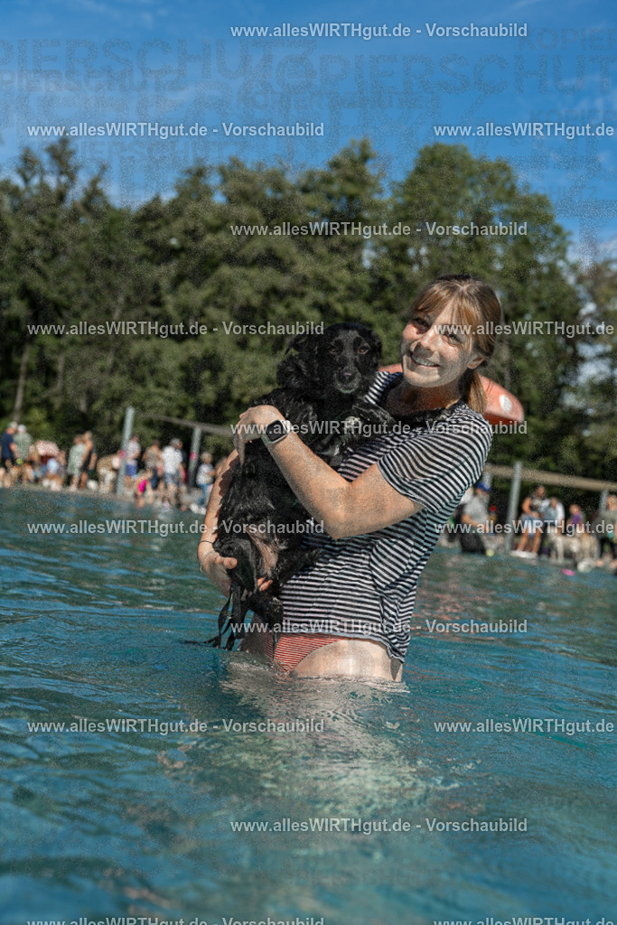 Hundeschwimmen_Volksbad_2026-allesWIRTHgut_Tierfotografie-2609061257-120724-7R500336 | Professionelle Tierfotografie in Mönchengladbach von Daniel Wirth (allesWIRTHgut). Liebevolle & natürliche Bilder von Hunden & Katzen für unvergessliche Erinnerungen.