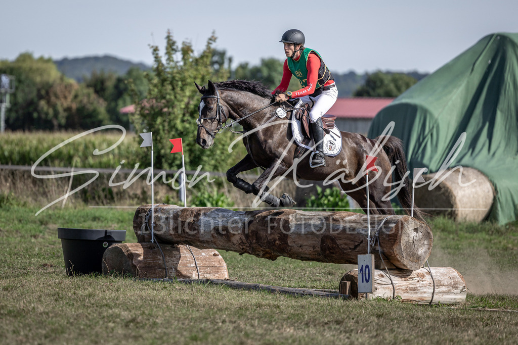 20250907-_3LI2771 | Tierfotografie Pferde, Hunde, Katzen, Haustiere.
Turnierfotografie Reitturniere, Reiten, Springreiten, Dressur in Hanau, dem Main-Kinzig-Kreis und dem Rhein-Main- Gebiet um Frankfurt