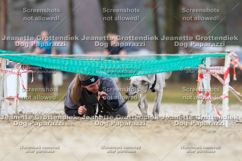 Dog Paparazzi - Strongdog North Mrz26-3824 | Dog Paparazzi Jeanette Grottendiek Fotografie & Videografie - Realisiert mit Pictrs.com