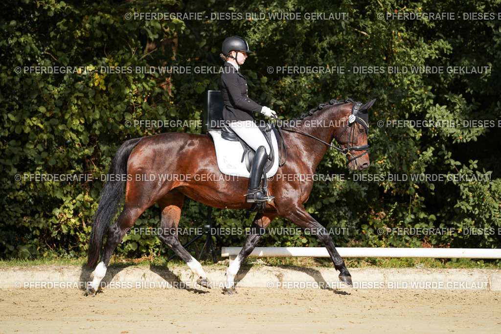 DSC07965 | Pferdegrafie