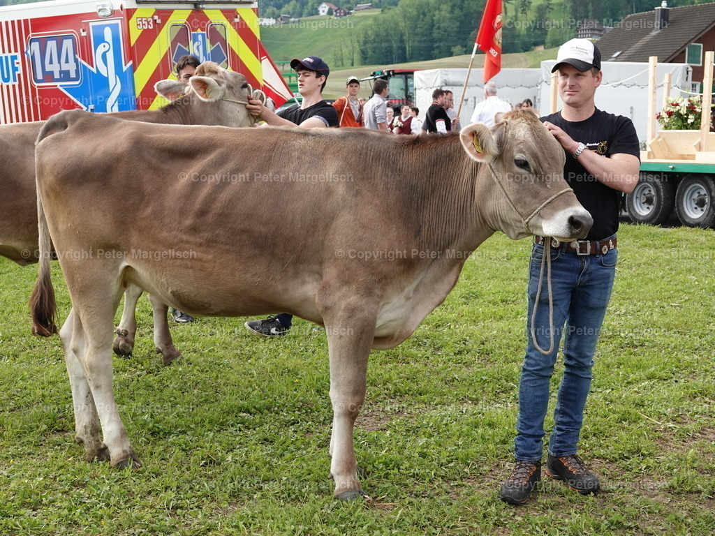 DSC06714 | Schwingen - Realisiert mit Pictrs.com