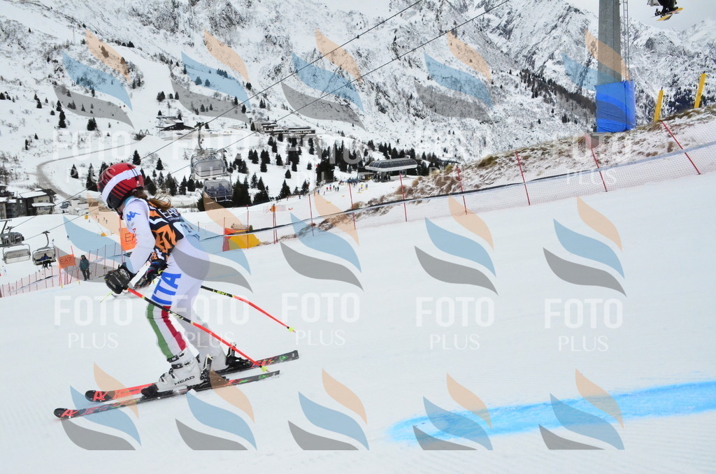 _ELE3227 | holidayphoto