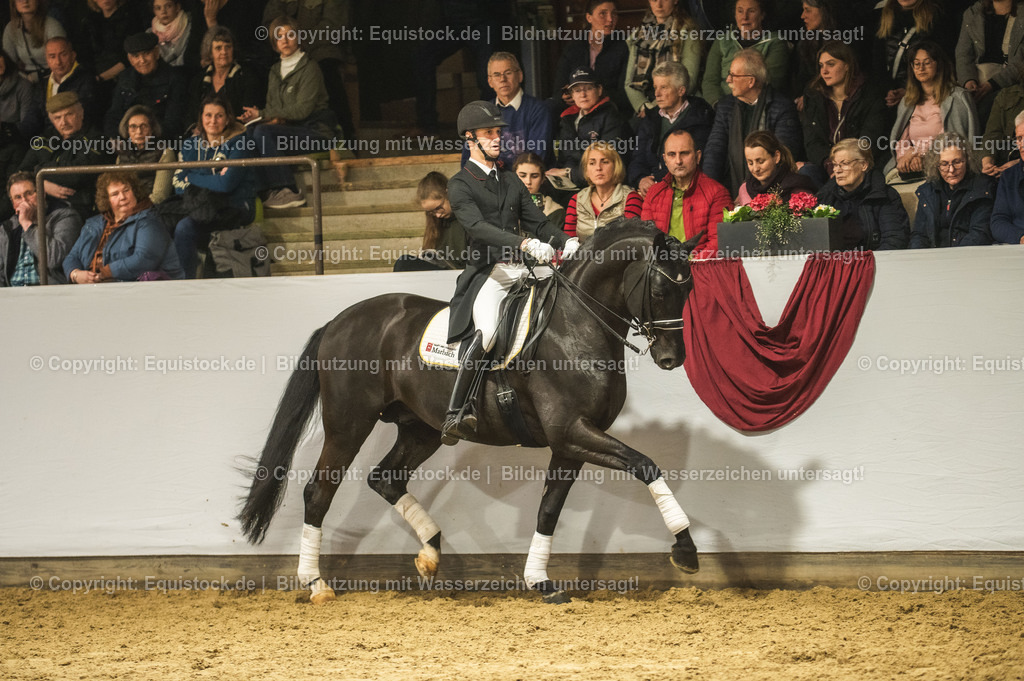 20240302_Hengstvorstellung_Marbach_TOMsPiC_1513-2 | equistock