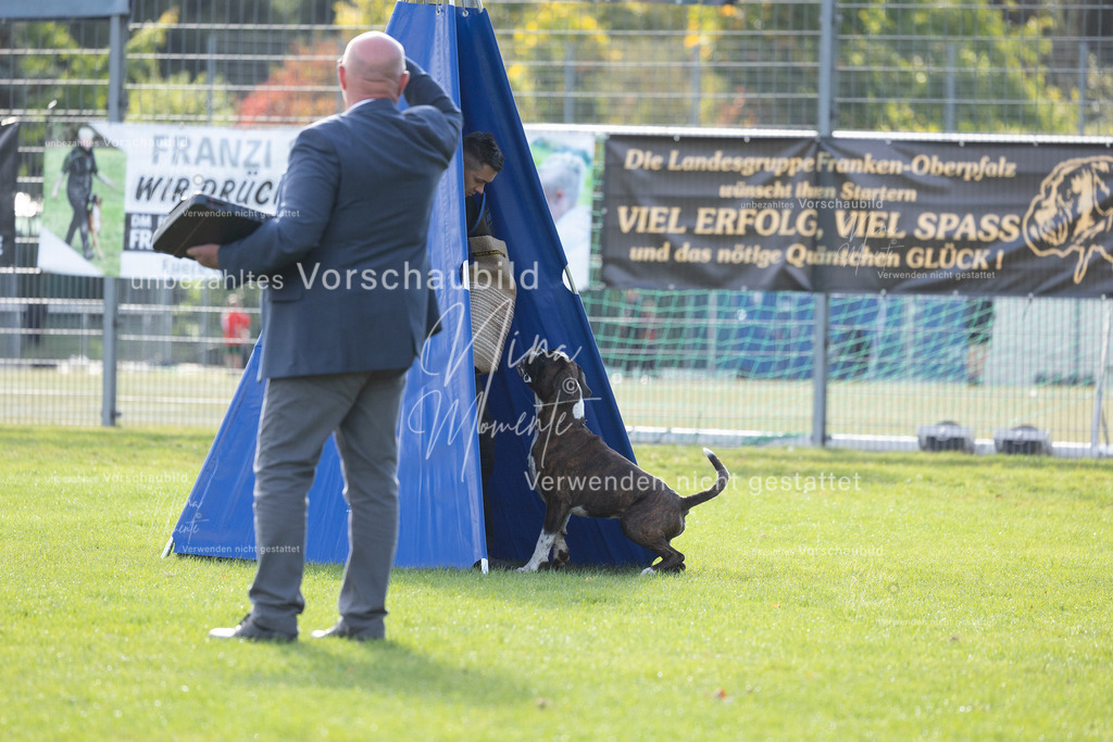 _16A6483 | Einzigartige Fotos von Hunden & Menschen –Actionfotos, Portraits, Vereinsaufnahmen & Paarshootings – authentisch, lebendig & mit Herz.