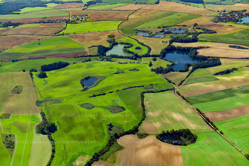 3637477 | SCHWEDT/ODER 25.08.2016 Uferbereiche am Seegebiet des "Pagelssee" und "Briesensee" in Schwedt/Oder in der Uckermark im Bundesland Brandenburg, Deutschland. // Riparian areas on the lake area of "Pagelssee" and "Briesensee" in Schwedt/Oder in the Uckermark in the state Brandenburg, Germany. Foto: Gerhard Launer