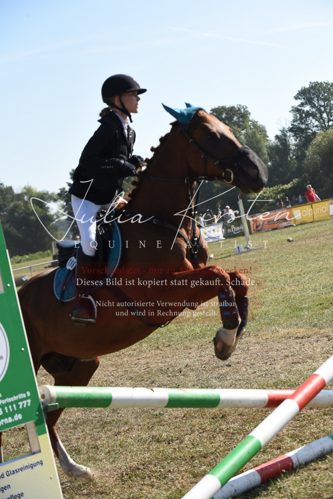DSC_6056 | Pferde- und Turnierfotografie in Westsachsen. Pferdeportraits, Auftragszeichnungen und intuitive Kunst.