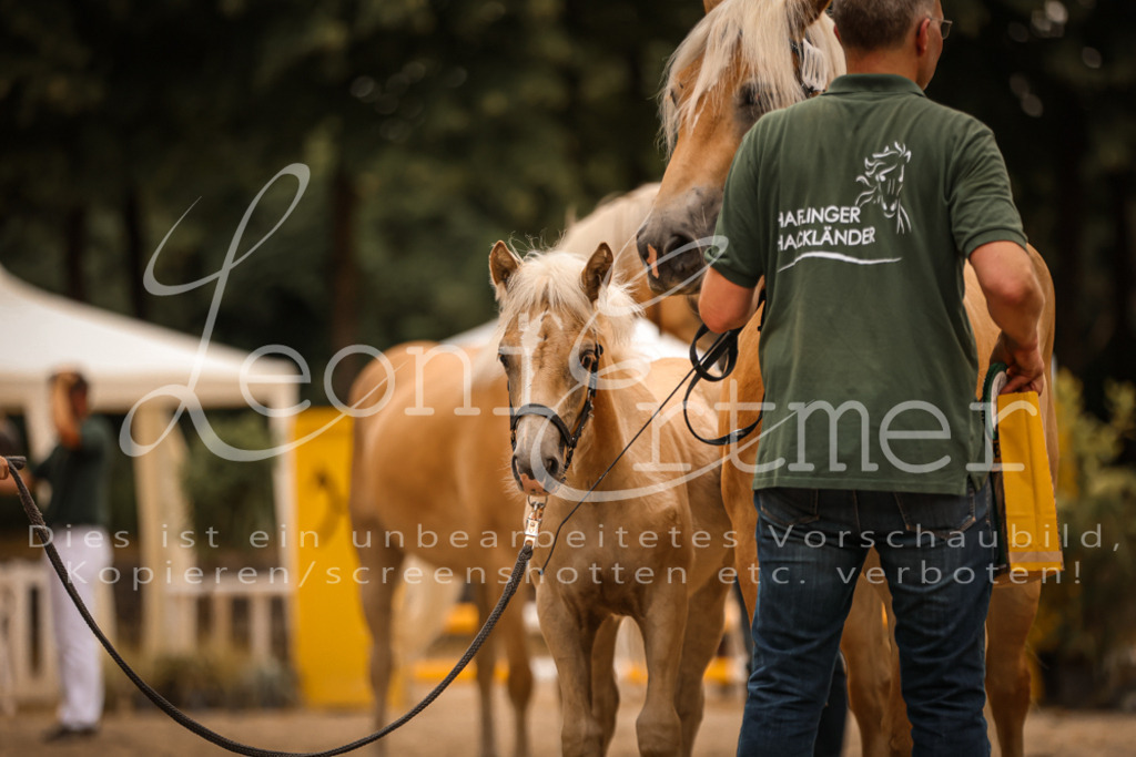 06.So00124 | Leoni Ertmer Photography - Realisiert mit Pictrs.com