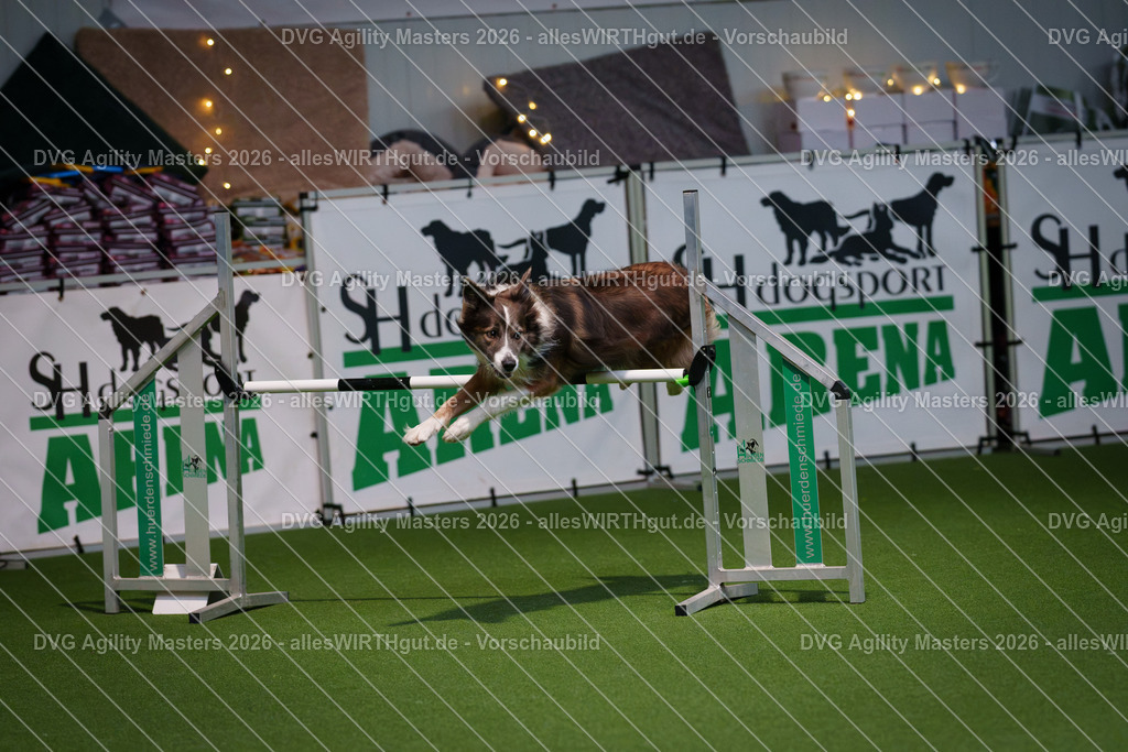 allesWIRTHgut_Tierfotografie-DVG_Agility_Masters_2026-14_51-7R501487 | Professionelle Tierfotografie in Mönchengladbach von Daniel Wirth (allesWIRTHgut). Liebevolle & natürliche Bilder von Hunden & Katzen für unvergessliche Erinnerungen.