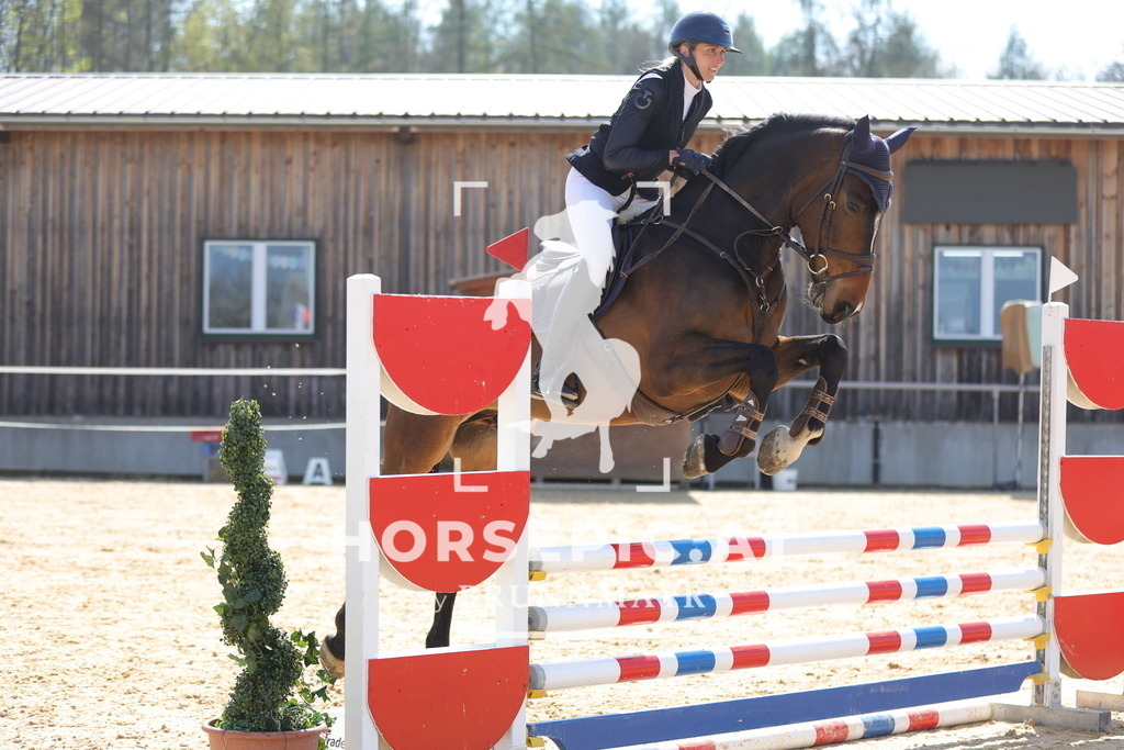 0P6A1282 | Willkommen bei Brunnmayr - Design & Fotografie – Ihrem Spezialisten für Reitturniere und Pferdeveranstaltungen in Oberösterreich, Salzburg und Bayern! Seit über 17 Jahren sind wir leidenschaftlich dabei.