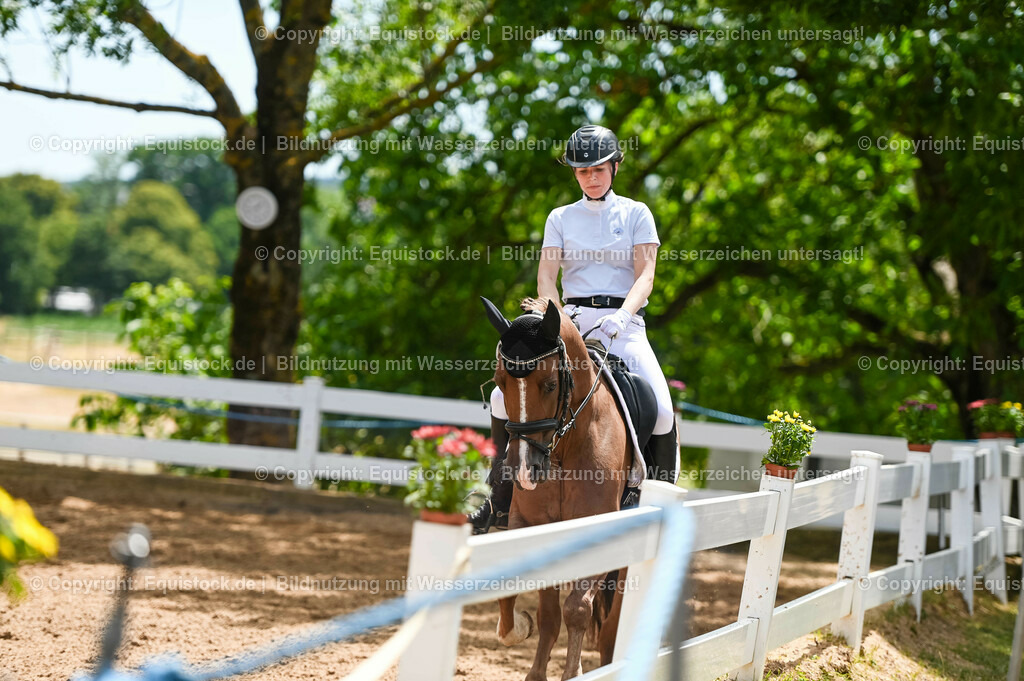 20230715_05_Dressurprüfung Kl.A++_0236 | equistock