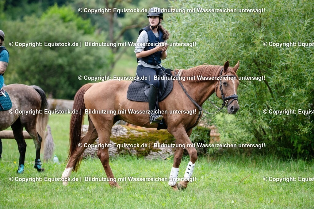 20250725_Vielseitigkeitslehrgang-Marbach_0416 | Foto: Thomas Hartig