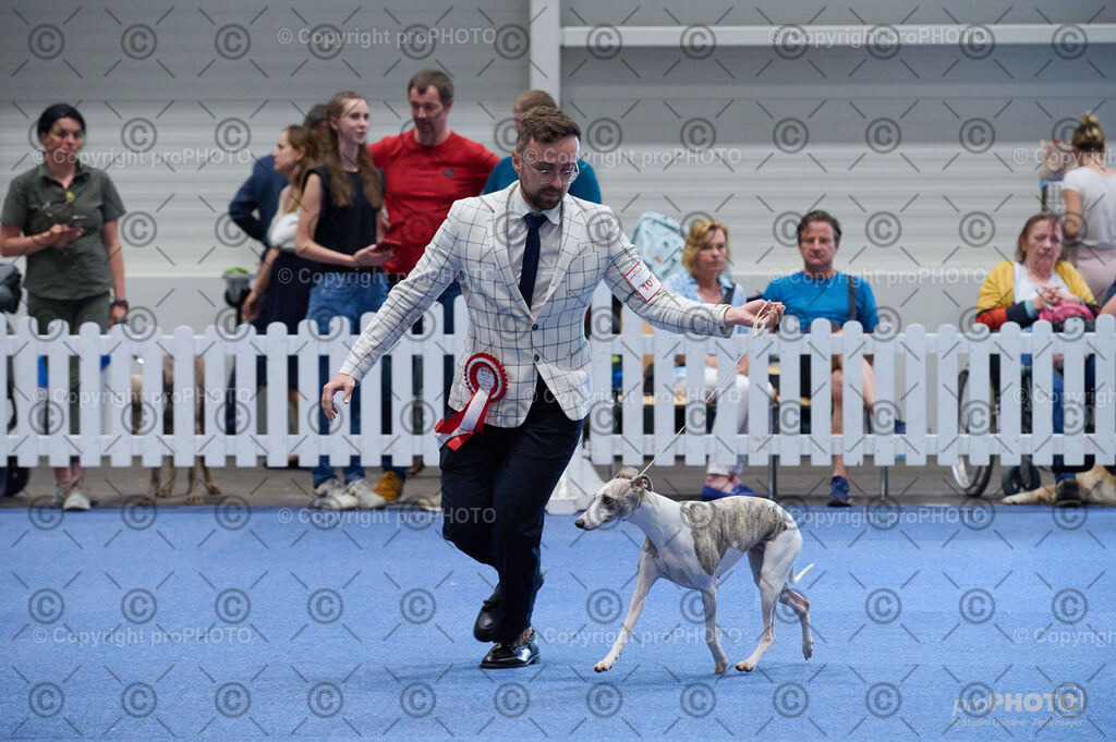 202406_ÖKV-IHA-Tulln24_DSC_5238 | proPHOTO - Realisiert mit Pictrs.com
