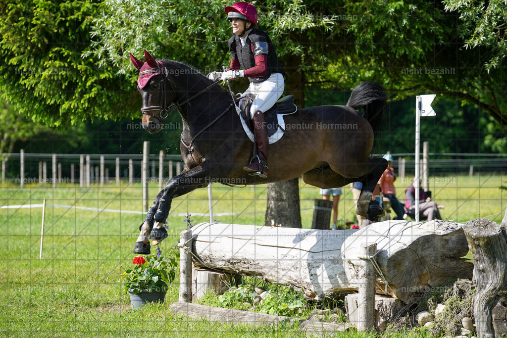 20240518-FAH04108 | Turnierbilder von Niederseon, Turnierfotografen Bayern, Fotoagentur Herrmann, Geländebilder, Reitsportfotografie