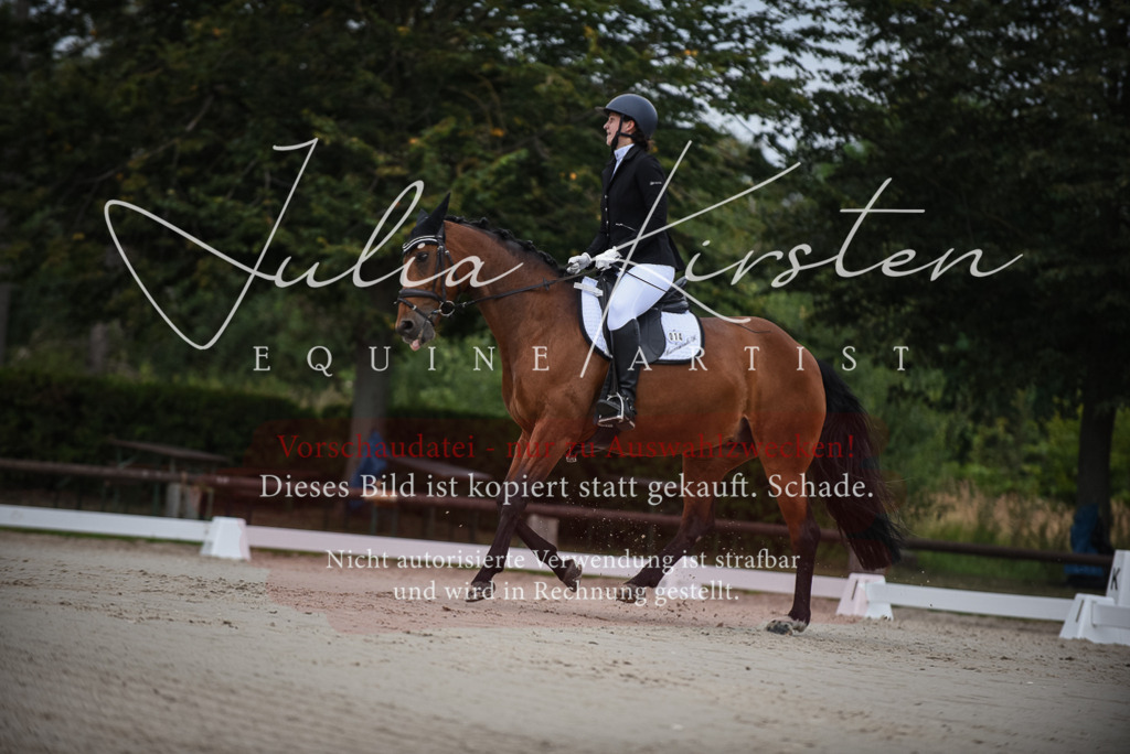DSC_7966 | Pferde- und Turnierfotografie in Westsachsen. Pferdeportraits, Auftragszeichnungen und intuitive Kunst.