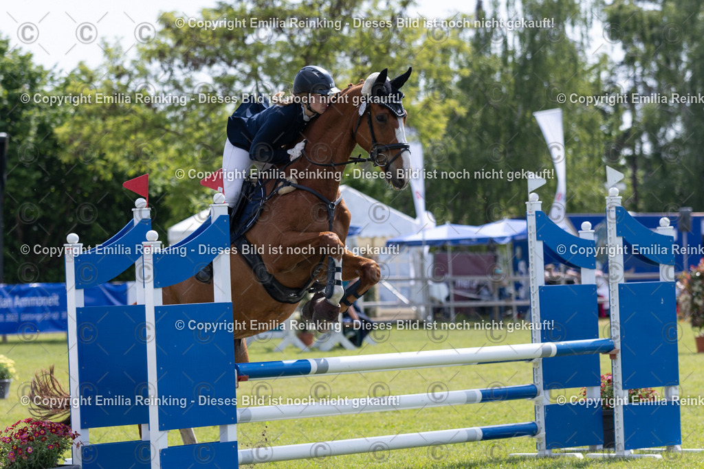 CL5A1810 | Emilia Reinking Fotografie - Realisiert mit Pictrs.com