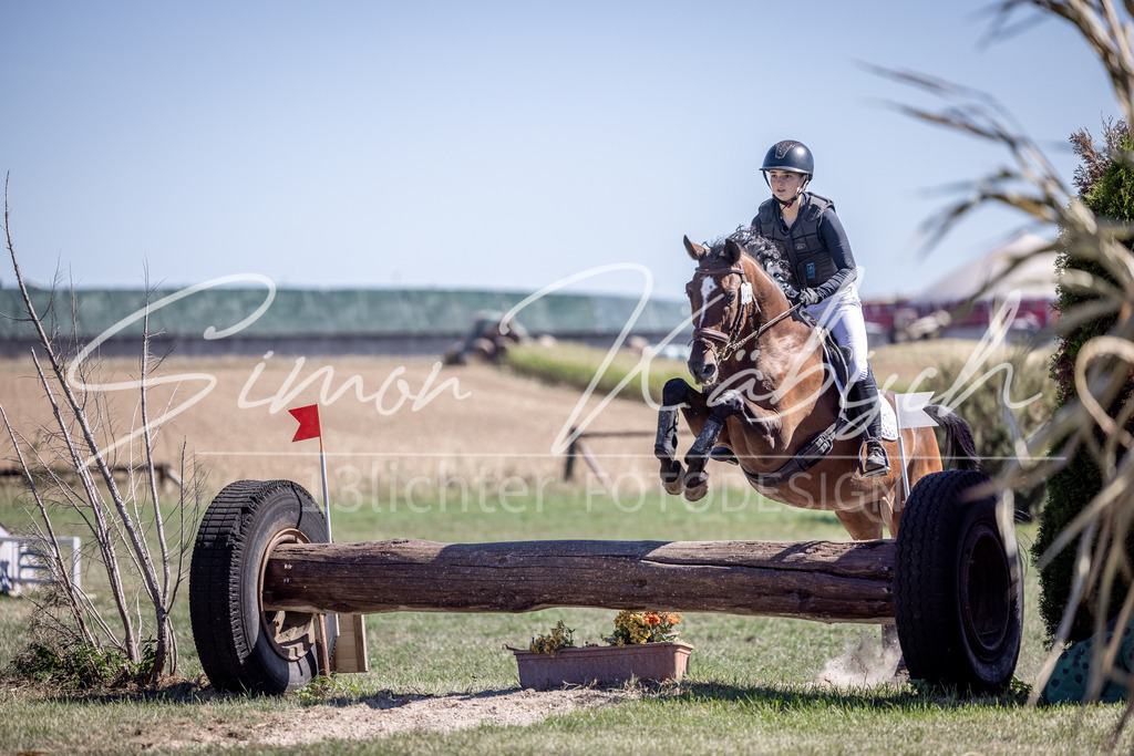 20260906-_3LI3596 | Tierfotografie Pferde, Hunde, Katzen, Haustiere.
Turnierfotografie Reitturniere, Reiten, Springreiten, Dressur in Hanau, dem Main-Kinzig-Kreis und dem Rhein-Main- Gebiet um Frankfurt