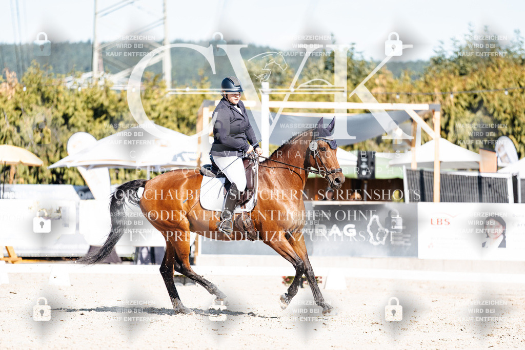CK908031 | Turnierfotografie Pferdefotografie Trier Rheinland-Pfalz Pferdesport Reitsport Tierfotografie Sportfotografie Pferdevideo Pferdevideografie Equestrianvideography equestrianphotography  - Realisiert mit Pictrs.com