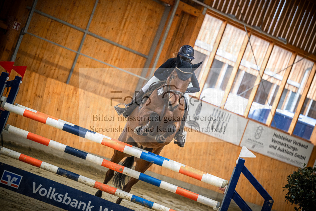 DOS_0124 | Entdecke hochwertige Reitturnierfotos von Foto Oger. Professionell, emotional und authentisch – jetzt Lieblingsmomente im Shop bestellen.Deutschlandweite Turnierfotografie. - Realisiert mit Pictrs.com