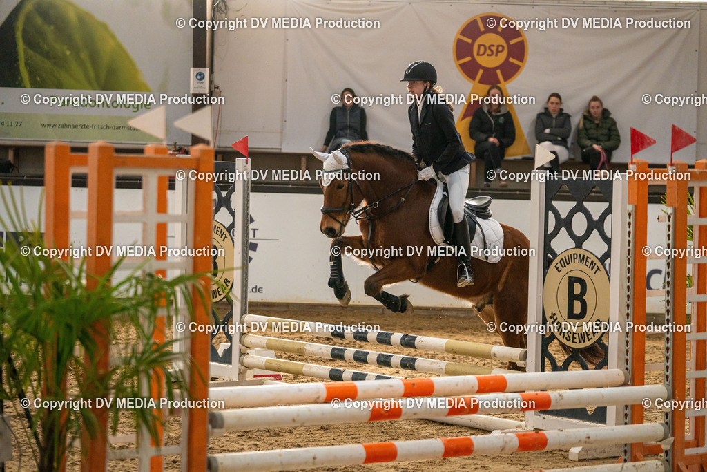 Kranichstein Tag 2-1118 | dv-media-shop - Realisiert mit Pictrs.com