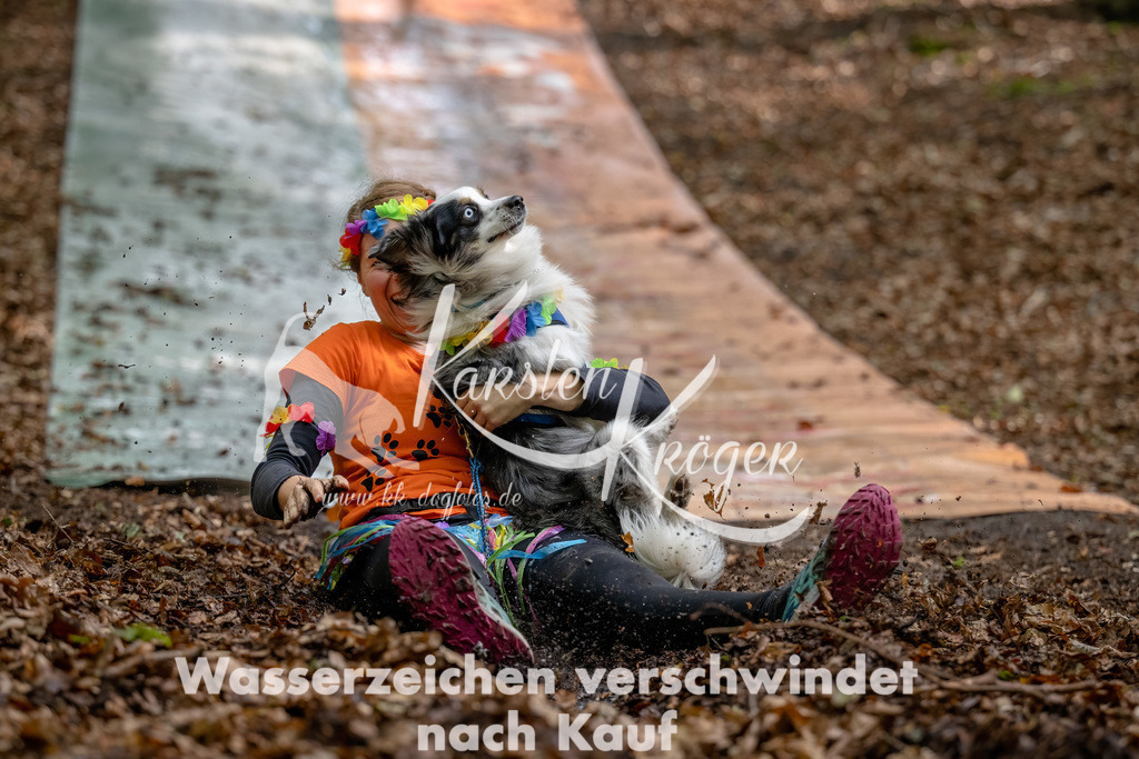 1133_ZZ91065-Bearbeitet | kk-dogfotos