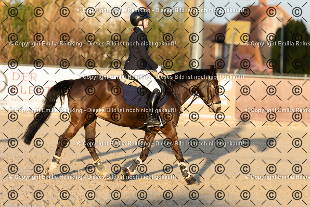 CL5A6400 | Emilia Reinking Fotografie - Realisiert mit Pictrs.com