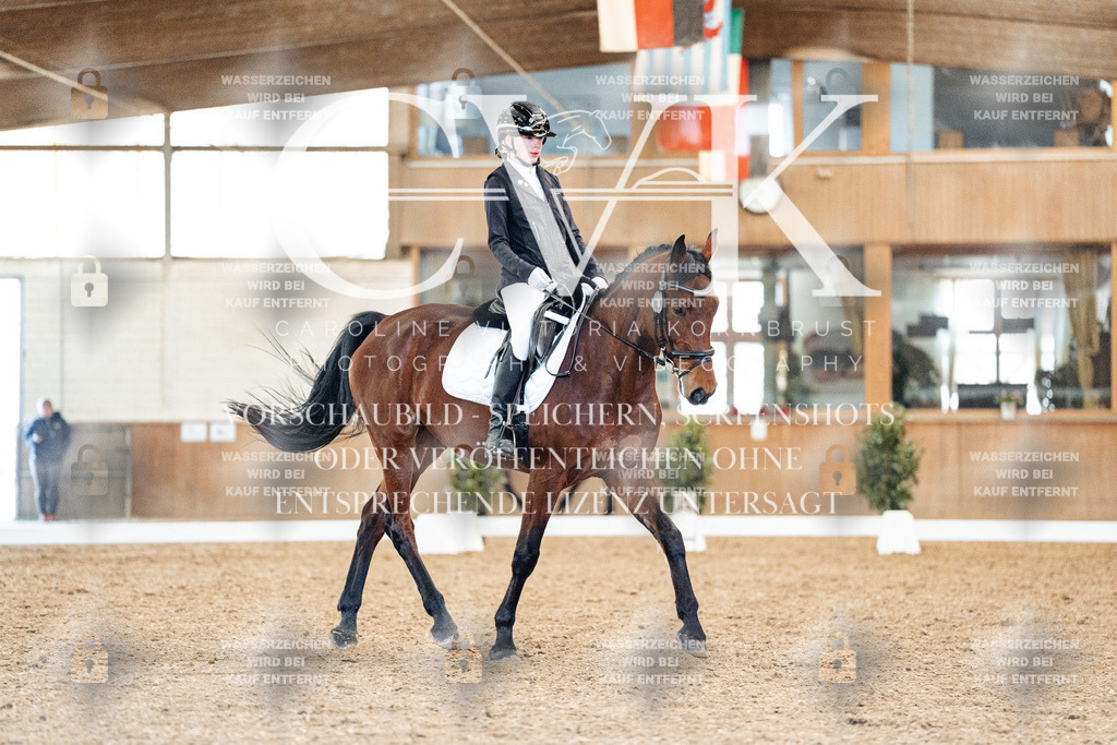 CK908654 | Turnierfotografie Pferdefotografie Trier Rheinland-Pfalz Pferdesport Reitsport Tierfotografie Sportfotografie Pferdevideo Pferdevideografie Equestrianvideography equestrianphotography  - Realisiert mit Pictrs.com