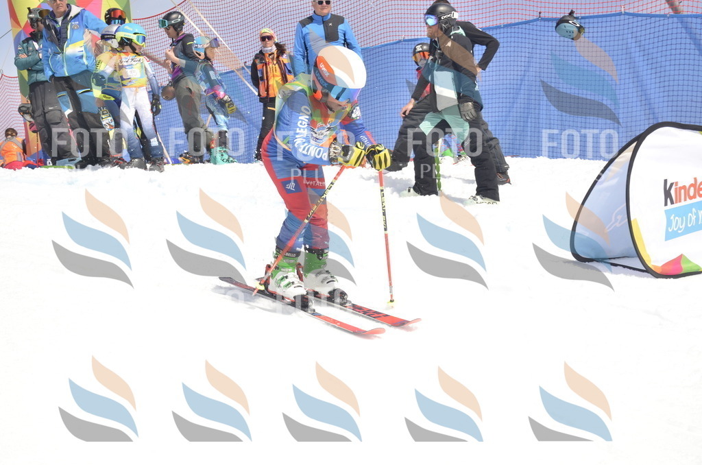 _ELE9109 | holidayphoto