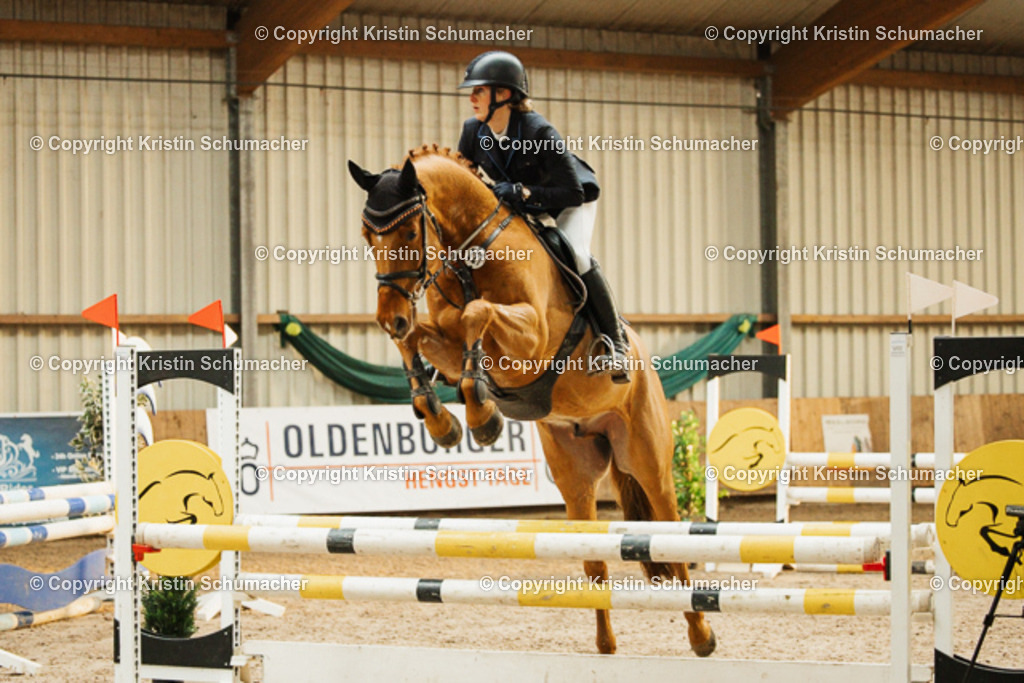 Springpferde A_-12 | Kristin Schumacher Photography