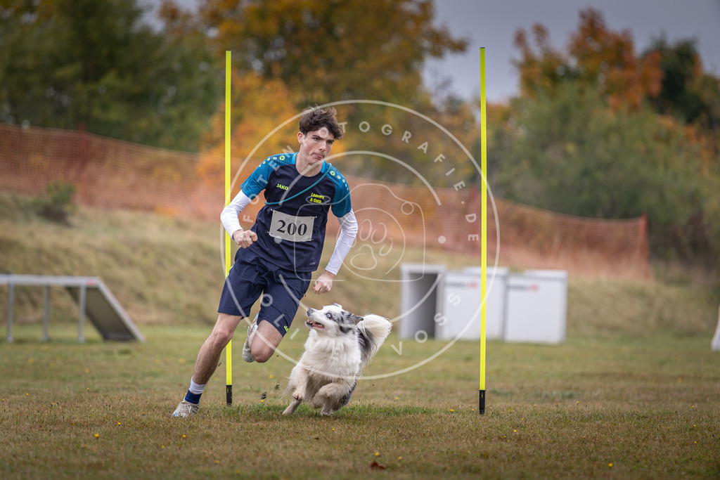 Pfotenfotografie_DV3A1240 | Hundefotografie, Tierfotograf, Pfotenfotografie, Fotoshooting Hund, Hunde Portrait, Hundesport, Hundeportraits, Heideshooting, Hunde, Sportfotograf, Hundefotograf, Turnierhundsport, THS,  - Realisiert mit Pictrs.com