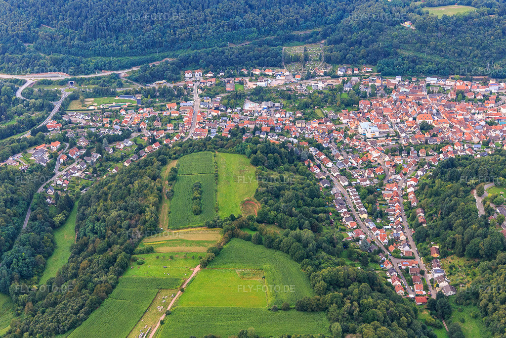 Luftbild: Nachtweide, Am Klingelberg, Zum Honigsack in Annweiler am Trifels im Bundesland Rheinland-Pfalz in Deutschland. Foto: IMG_128476.jpg vom 21.08.2021 durch Werner Riehm/FLY-FOTO.de