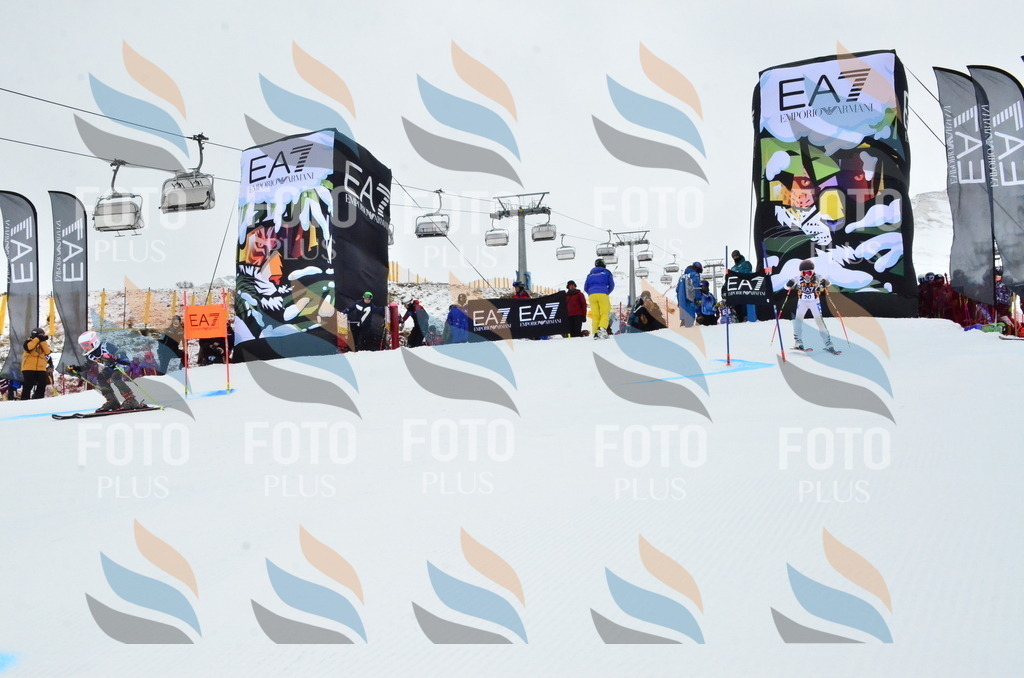 _ELE3219 | holidayphoto