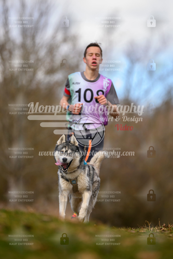 MompixPhotography_10Schwabentrail2026_SO_Canicross-32 | PayLife