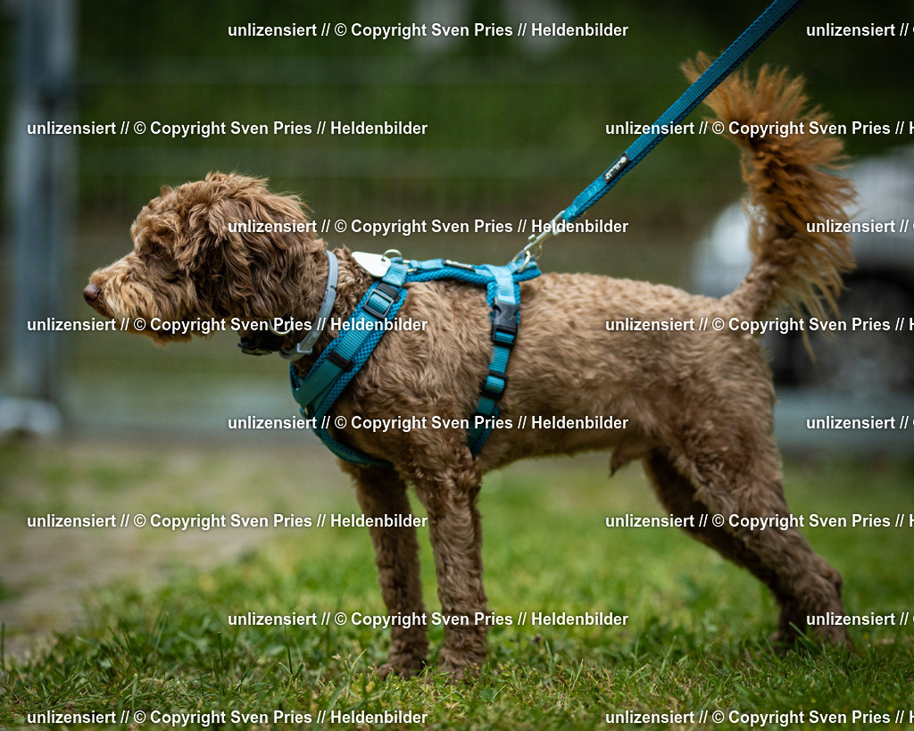 Sven Pries | 2025-05-29 - Pudelrennen KA-Durlach - Realisiert mit Pictrs.com