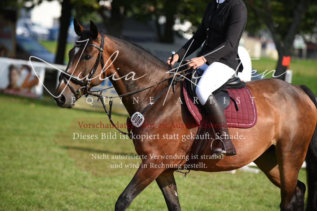DSC_8682 | Pferde- und Turnierfotografie in Westsachsen. Pferdeportraits, Auftragszeichnungen und intuitive Kunst.