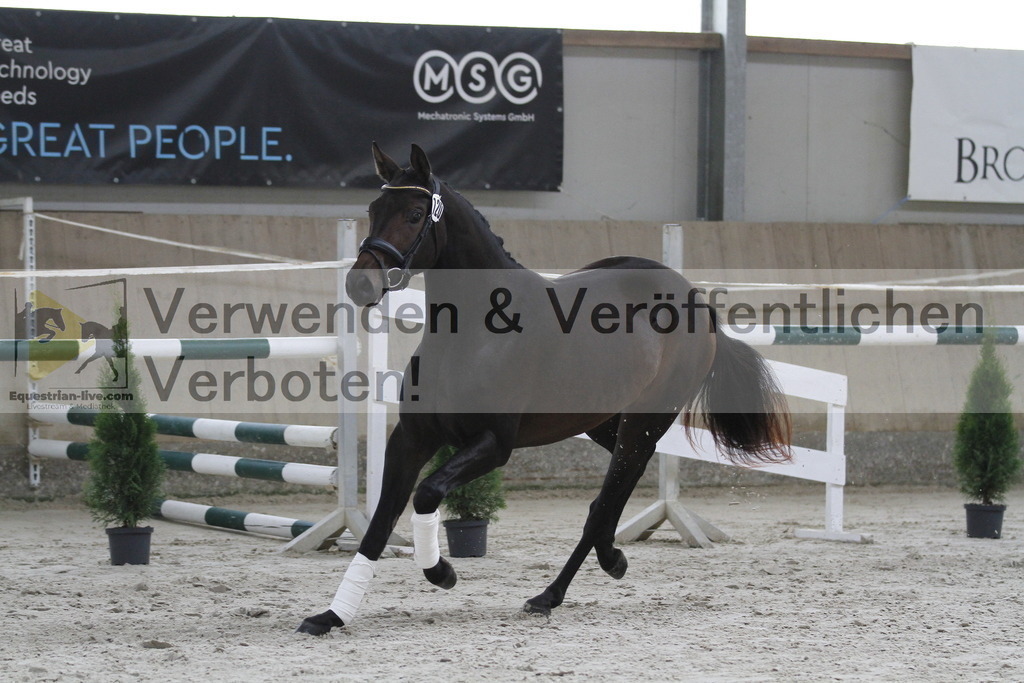 _MG_9454 | equestrian-live-com