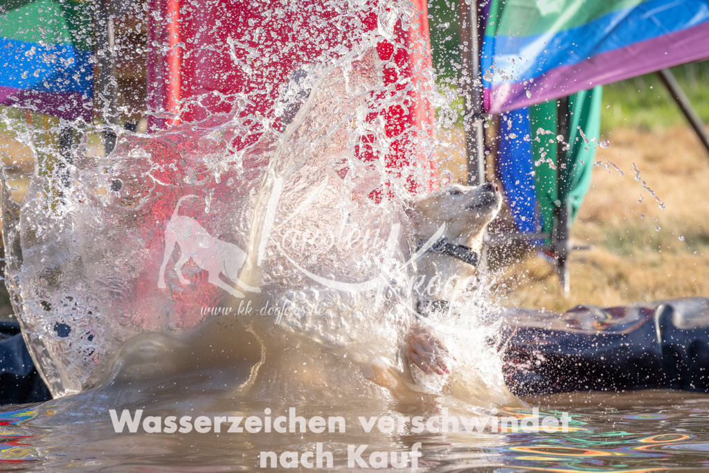 1724_ZZ90183 | kk-dogfotos