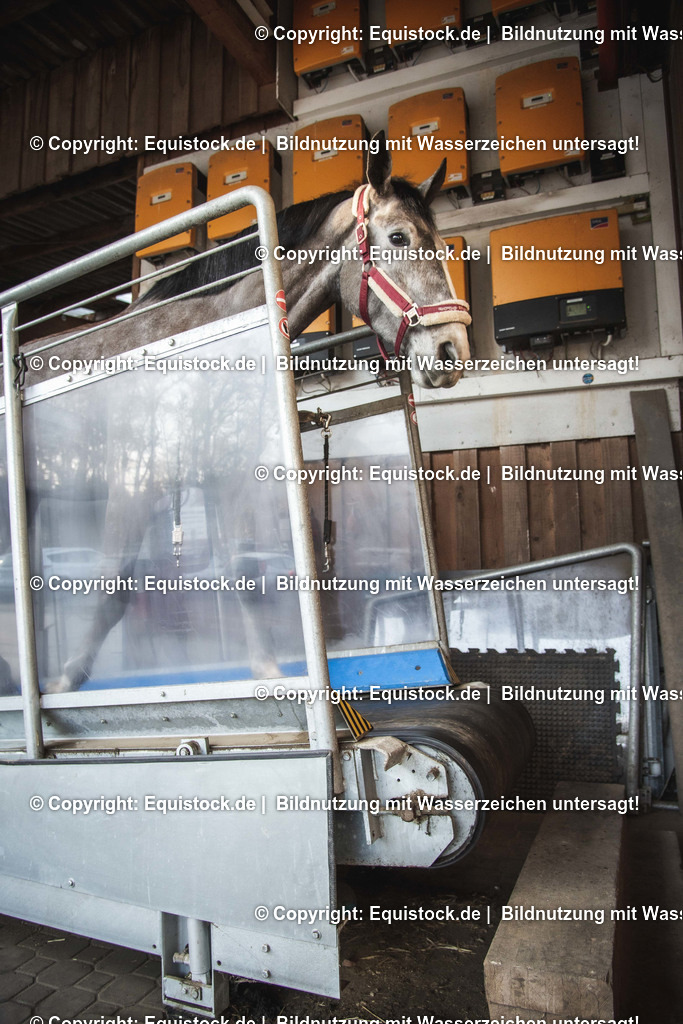 20200118_Laufband_0027 | Foto: Thomas Hartig