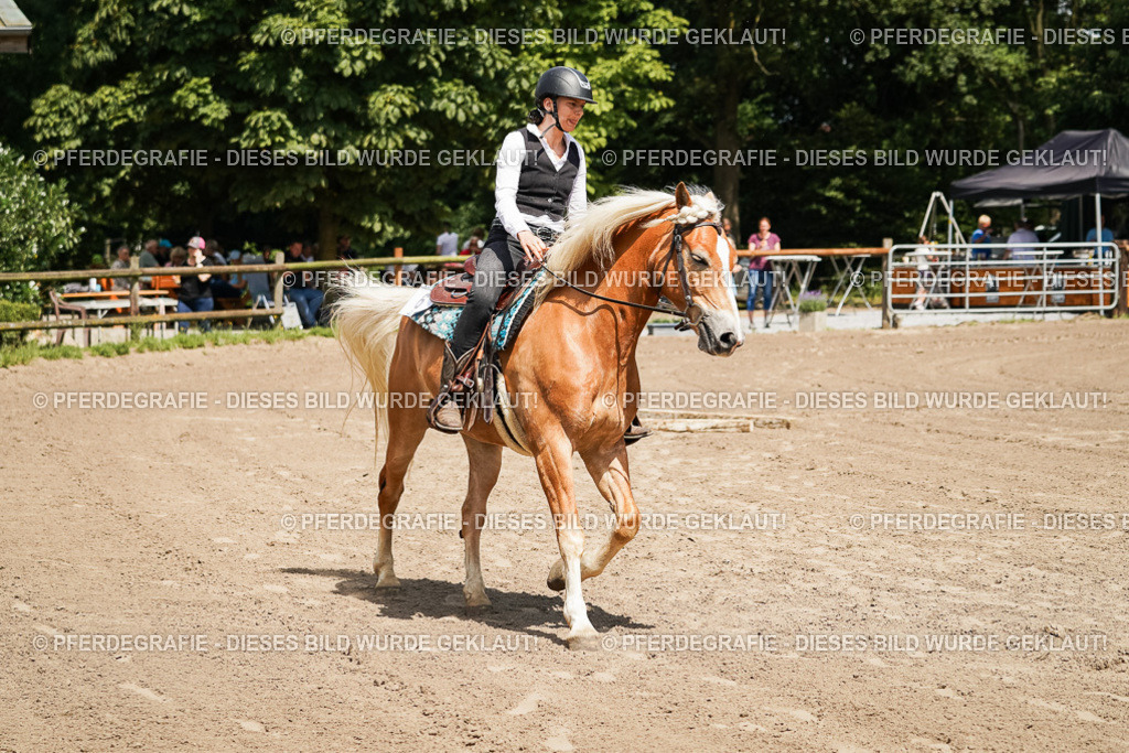 DSC07120 | Pferdegrafie