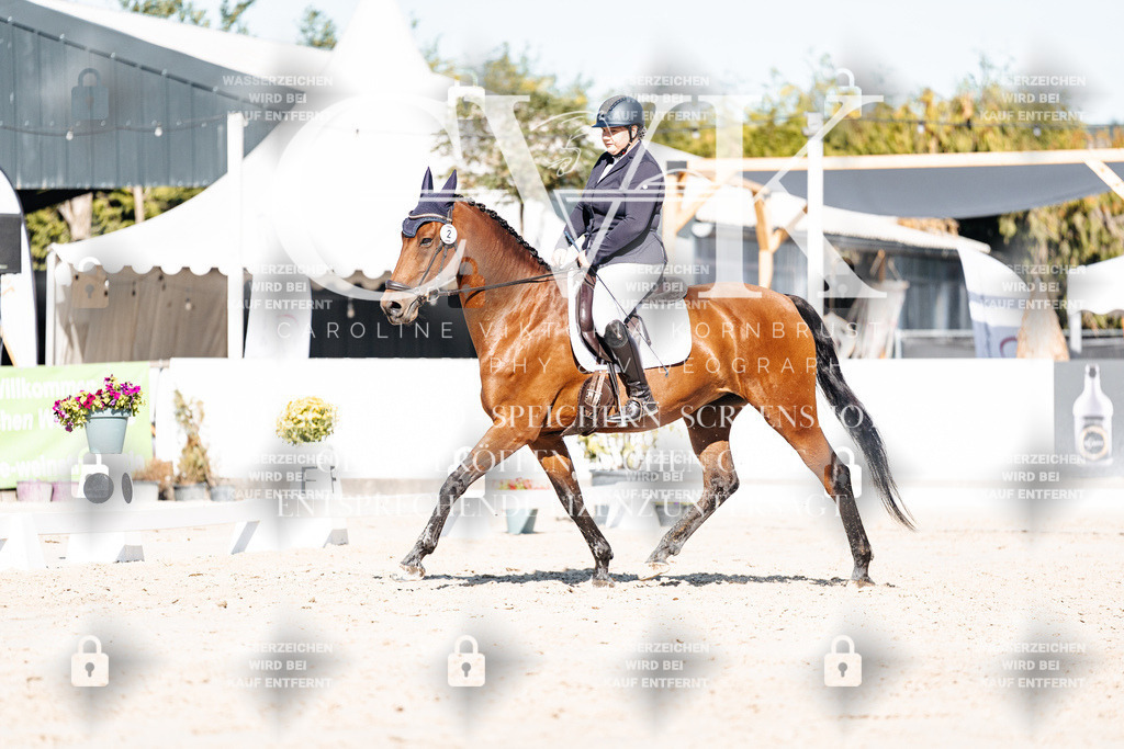 CK907976 | Turnierfotografie Pferdefotografie Trier Rheinland-Pfalz Pferdesport Reitsport Tierfotografie Sportfotografie Pferdevideo Pferdevideografie Equestrianvideography equestrianphotography  - Realisiert mit Pictrs.com