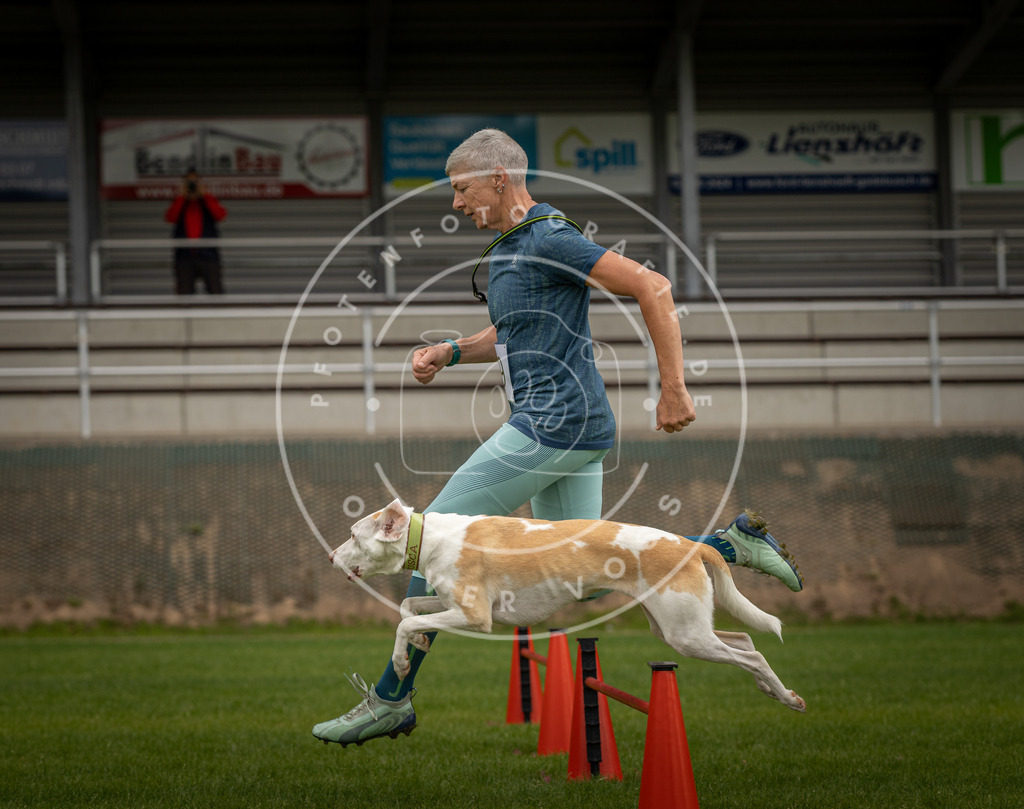 Pfotenfotografie_DV3A7787 | Hundefotografie, Tierfotograf, Pfotenfotografie, Fotoshooting Hund, Hunde Portrait, Hundesport, Hundeportraits, Heideshooting, Hunde, Sportfotograf, Hundefotograf, Turnierhundsport, THS,  - Realisiert mit Pictrs.com