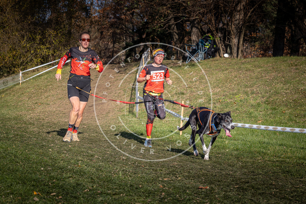 CaniXpix_0L8A8654 | Hundefotografie, Tierfotograf, Pfotenfotografie, Fotoshooting Hund, Hunde Portrait, Hundesport, Hundeportraits, Heideshooting, Hunde, Sportfotograf, Hundefotograf, Turnierhundsport, THS,  - Realisiert mit Pictrs.com