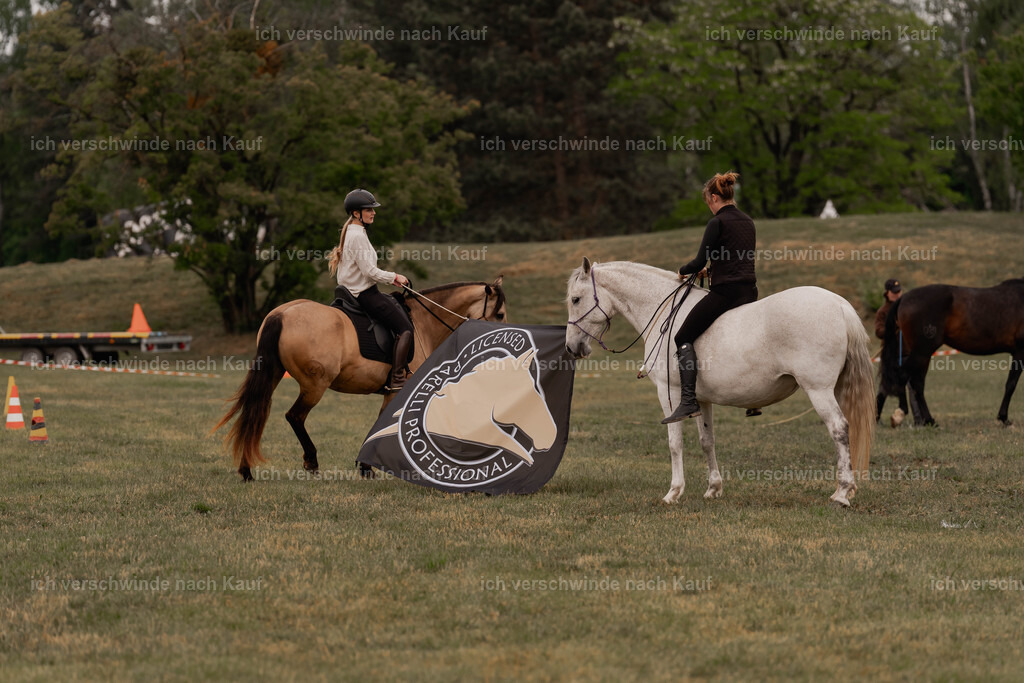 Showprogramm-39 | working equitationturnier fotograf videograf stoibphotography marixx film working equitation deutschland reitsport turnierfotografie eventfotografie equestrian events