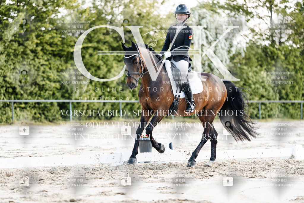 CK909560 | Turnierfotografie Pferdefotografie Trier Rheinland-Pfalz Pferdesport Reitsport Tierfotografie Sportfotografie Pferdevideo Pferdevideografie Equestrianvideography equestrianphotography  - Realisiert mit Pictrs.com