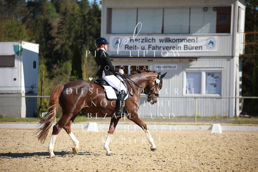 IMGT8864 | pl-fotografie